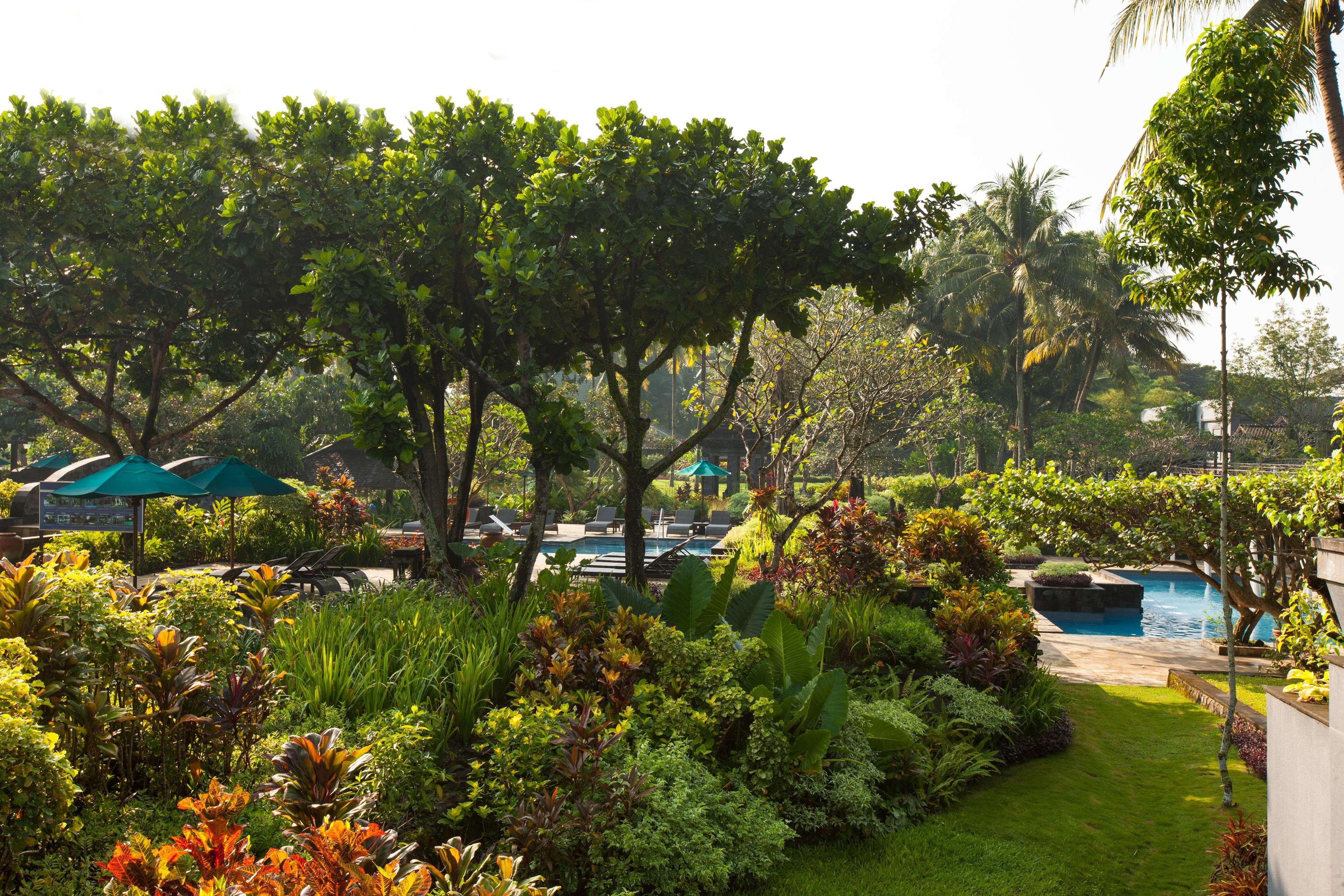 Hyatt Regency Yogyakarta Hotel Sleman  Exterior photo The pool at the Royal Hawaiian Hotel